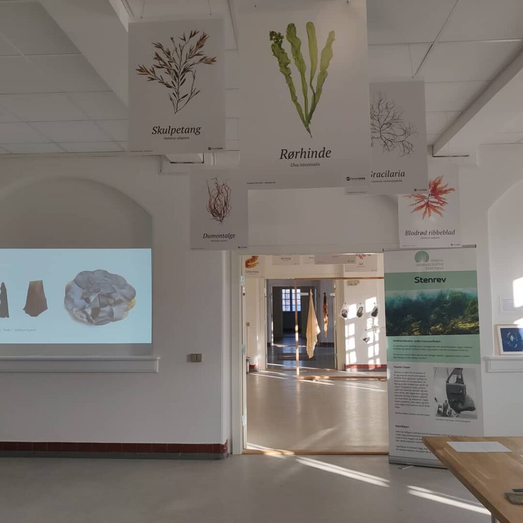 Exhibition about seaweed